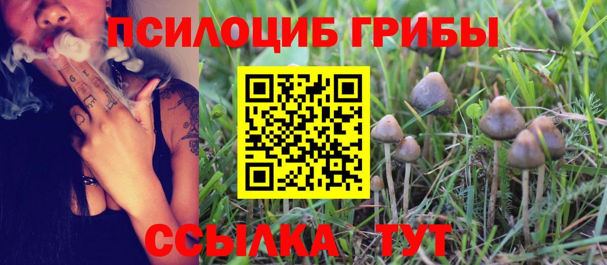 Псилоцибиновые грибы ЛСД Славгород