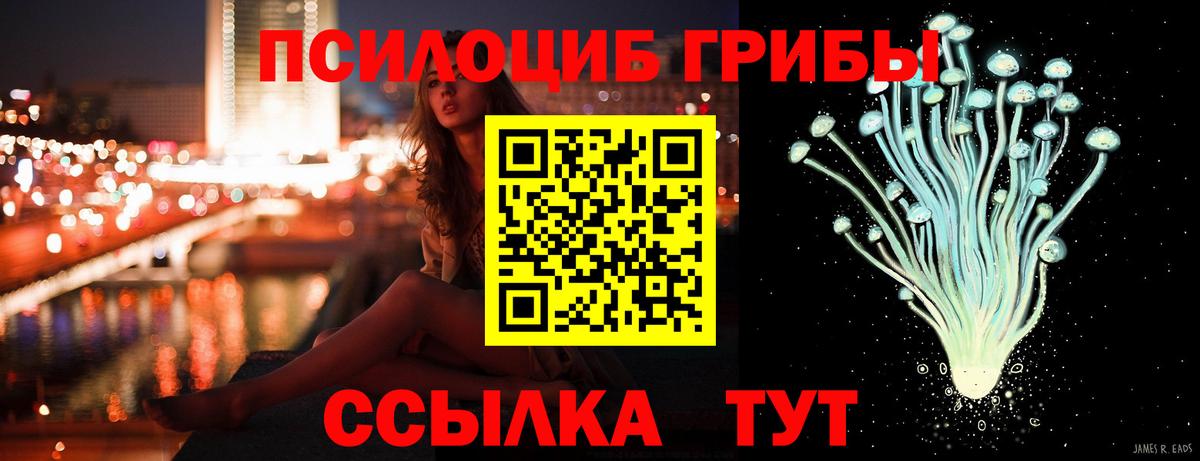 Галлюциногенные грибы прущие грибы  наркота  Славгород  Вход с VPN 