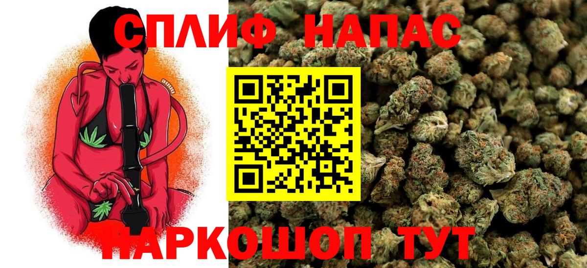 Конопля OG Kush  Бошки марихуана семена  МАРИХУАНА конопля  Вход с VPN  Славгород 